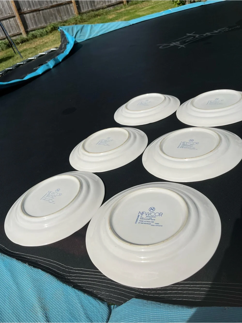 Set of 6 Newcor Geese Dinner Plates